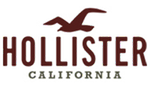 Hollister hollisterco.com logo