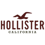 Hollister hollisterco.com logo