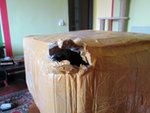 Почтовые крысы