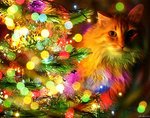 Новогодняя гирлянда! Праздник к нам приходит...
