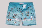 Swimshorts - одежда для моря и пляжа