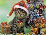 С Новым годом!